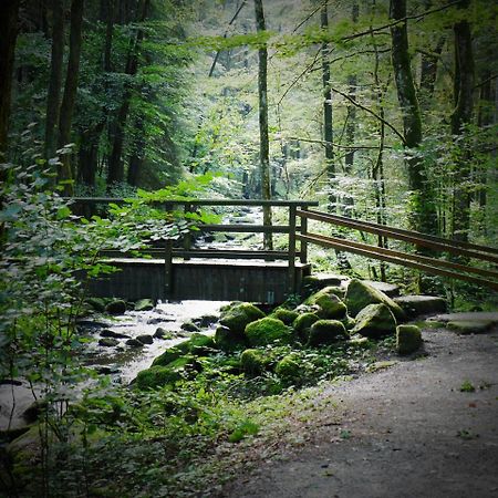 Fewo Kedo Neukirchen vorm Wald Exterior foto