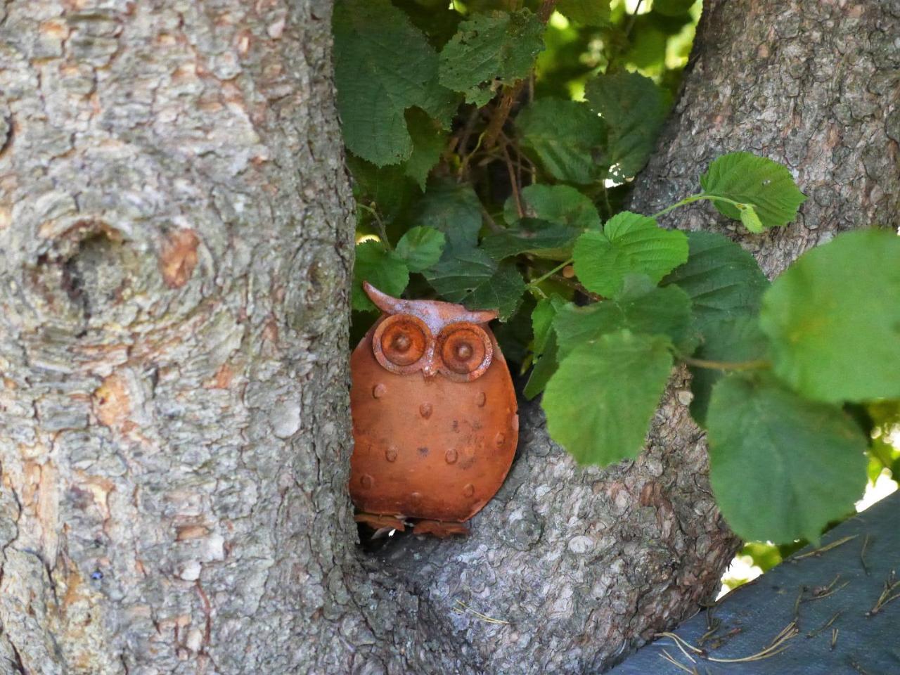 Fewo Kedo Neukirchen vorm Wald Exterior foto